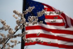 Drapeau USA Drapeau USA