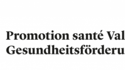 promotion santé valais